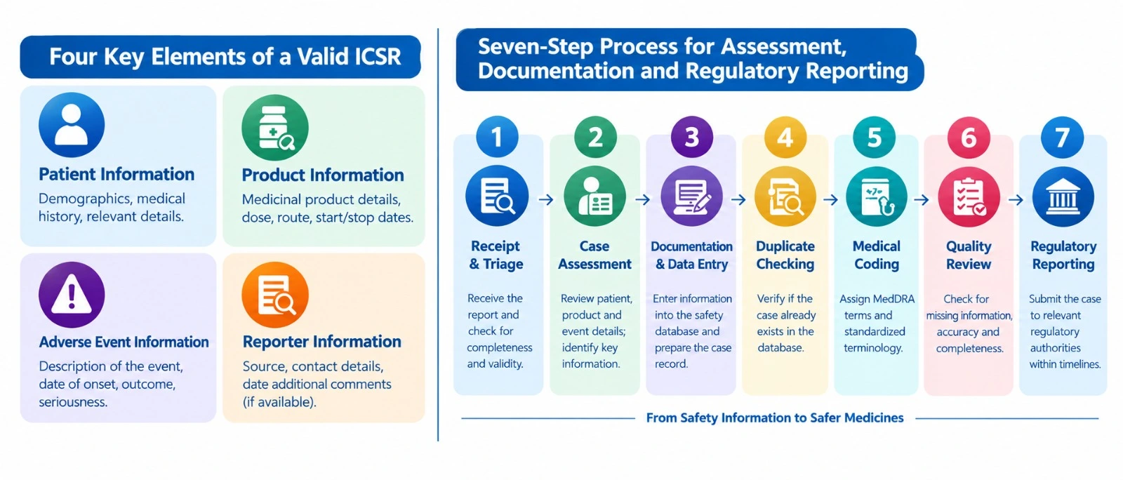 A valid ICSR generally contains four key elements and goes through a structured process involving case review, documentation, assessment, and regulatory reporting.